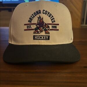 Arizona Coyotes 47 Brand Captain Hat